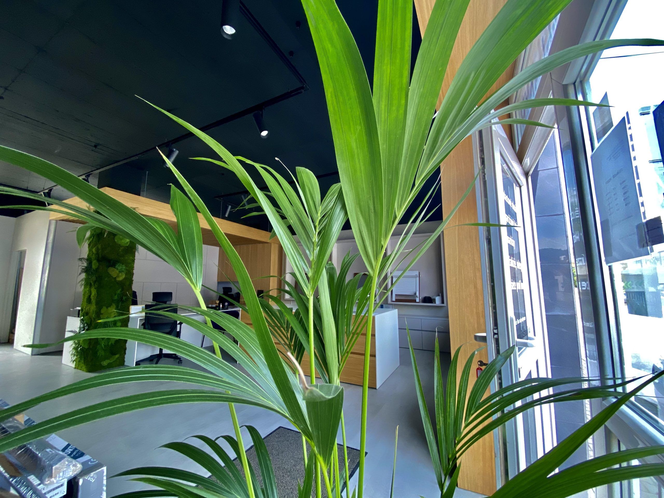 Interior Realizations & Turnkey Projects